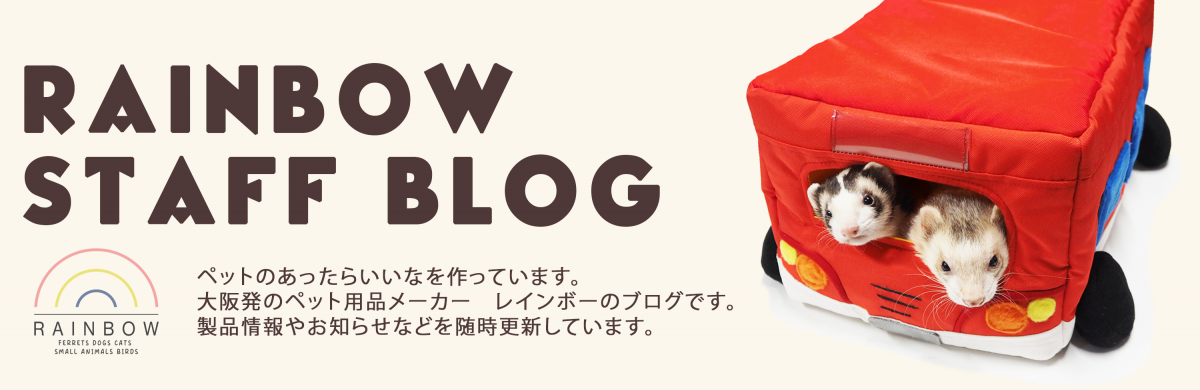 レインボーのスタッフブログ